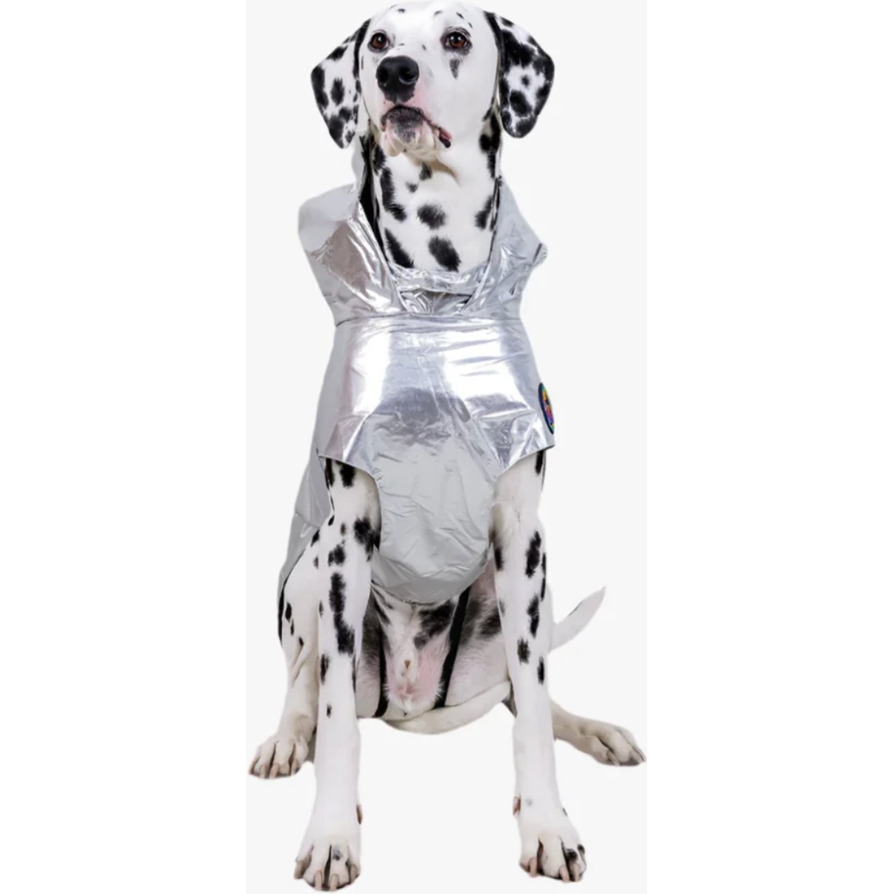 Pebot Alita Hooded Dog & Cat Raincoat, Silver, 16