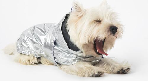 Show full view: Pebot Alita Hooded Dog & Cat Raincoat, Silver, 16 slide 4 of 6