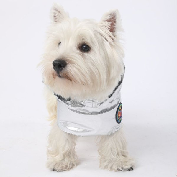 Show full view: Pebot Alita Hooded Dog & Cat Raincoat, Silver, 16 slide 4 of 5