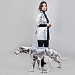 Show in main carousel: Pebot Alita Hooded Dog & Cat Raincoat, Silver, 16 slide 2 of 5