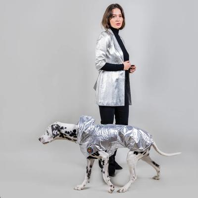 Show full view: Pebot Alita Hooded Dog & Cat Raincoat, Silver, 20 slide 2 of 5