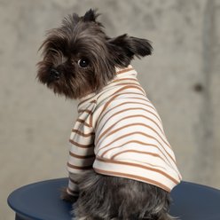 Pebot Buttercup Dog & Cat Fleece, Brown / Ivory Stripe, 12 slide 2 of 5