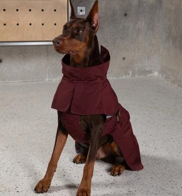 Show full view: Pebot Cyberry Dog & Cat Windbreaker Trench, Burgundy, 10 slide 3 of 3