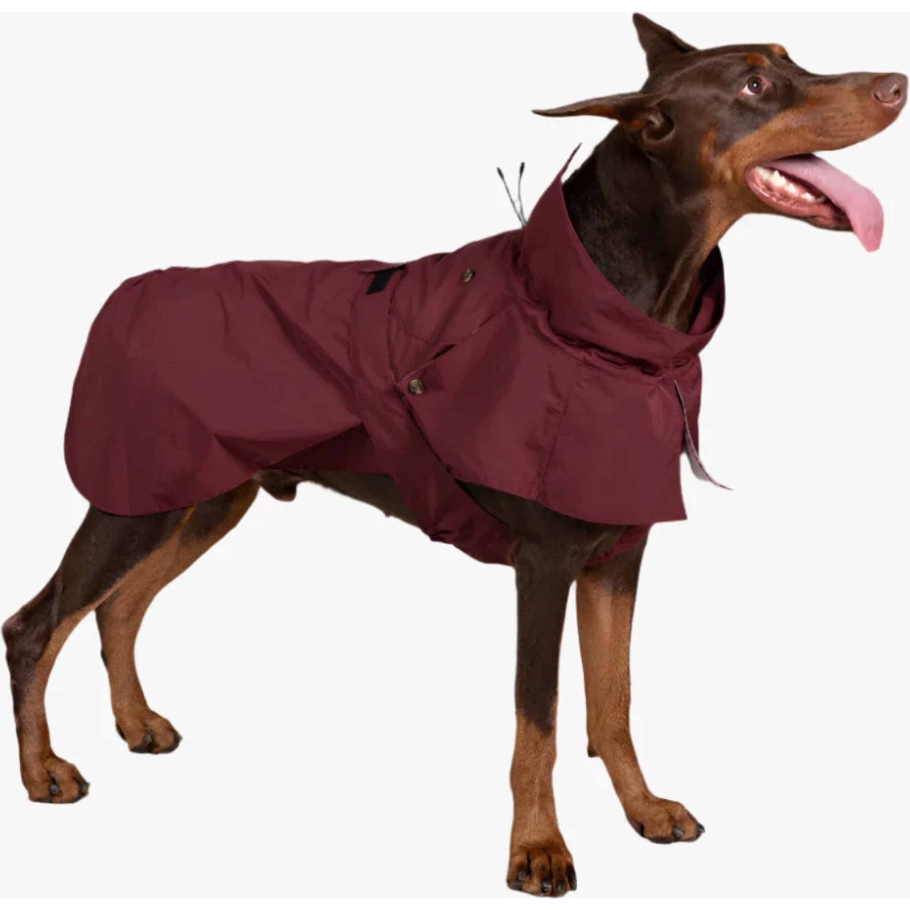 Pebot Cyberry Dog & Cat Windbreaker Trench, Burgundy, 22