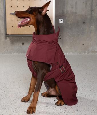 Show full view: Pebot Cyberry Dog & Cat Windbreaker Trench, Burgundy, 26 slide 2 of 3