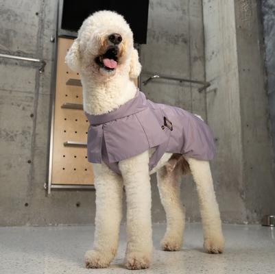 Show full view: Pebot Cyberry Dog & Cat Windbreaker Trench, Lilac, 10 slide 3 of 3
