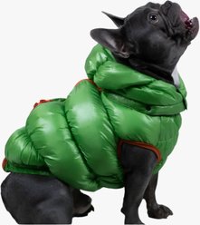 Pebot Dog & Cat Puffer Coat, Apple Green, 10