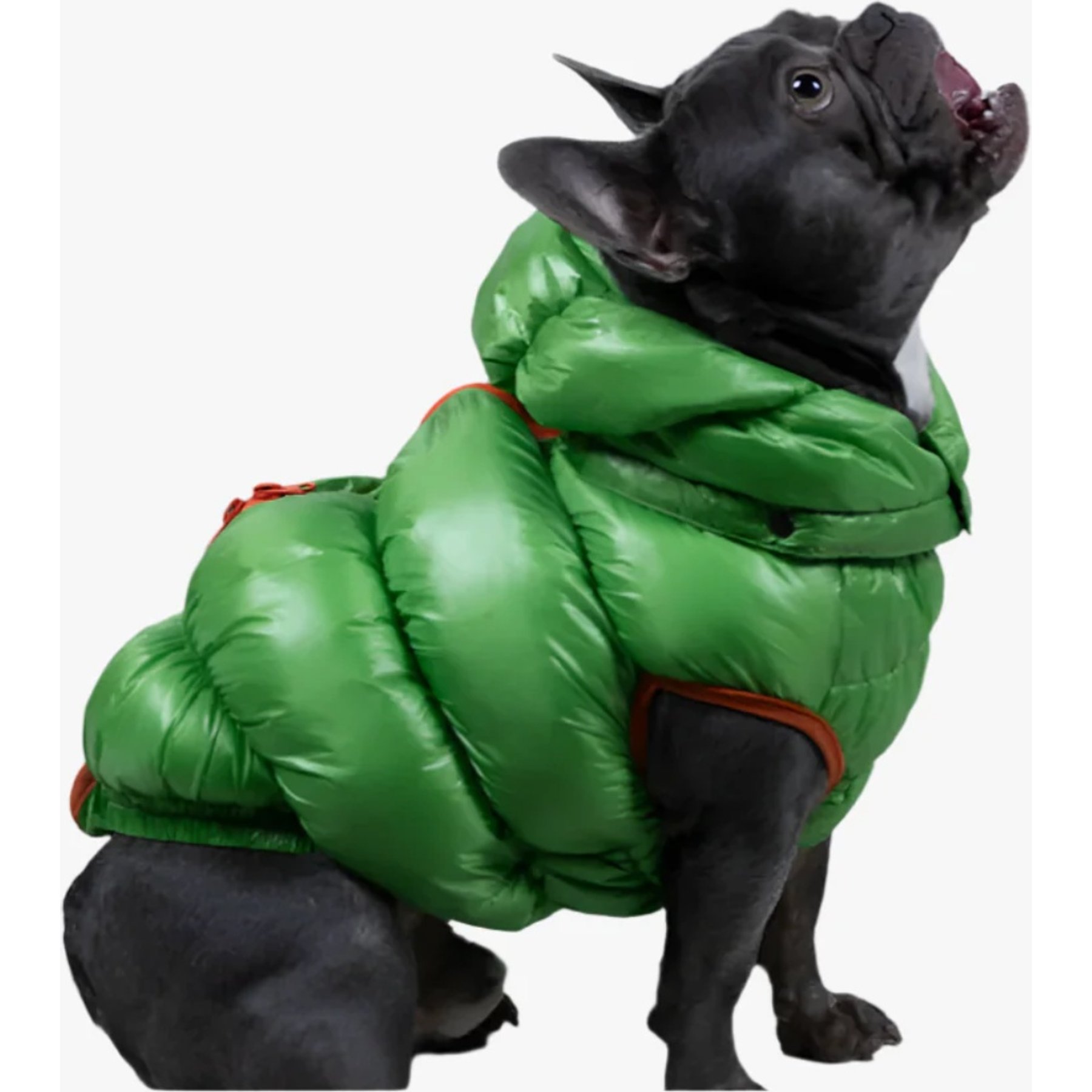 Pebot Dog & Cat Puffer Coat, Apple Green, 10