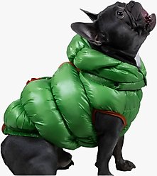 Pebot Dog & Cat Puffer Coat, Apple Green, 14