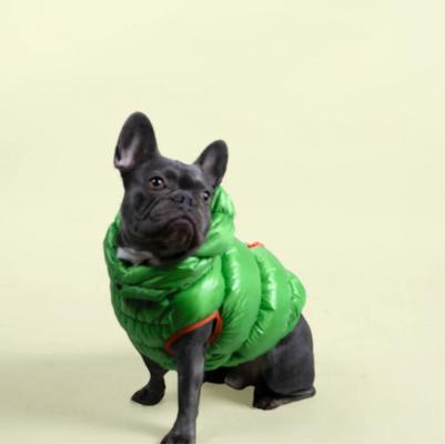 Show full view: Pebot Dog & Cat Puffer Coat, Apple Green, 14 slide 2 of 4