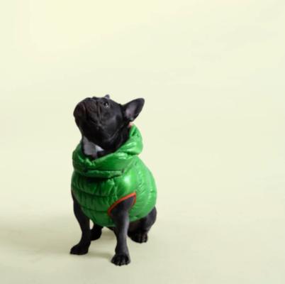 Show full view: Pebot Dog & Cat Puffer Coat, Apple Green, 8 slide 3 of 4