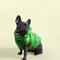 Show in main carousel: Pebot Dog & Cat Puffer Coat, Apple Green, 8 slide 2 of 4