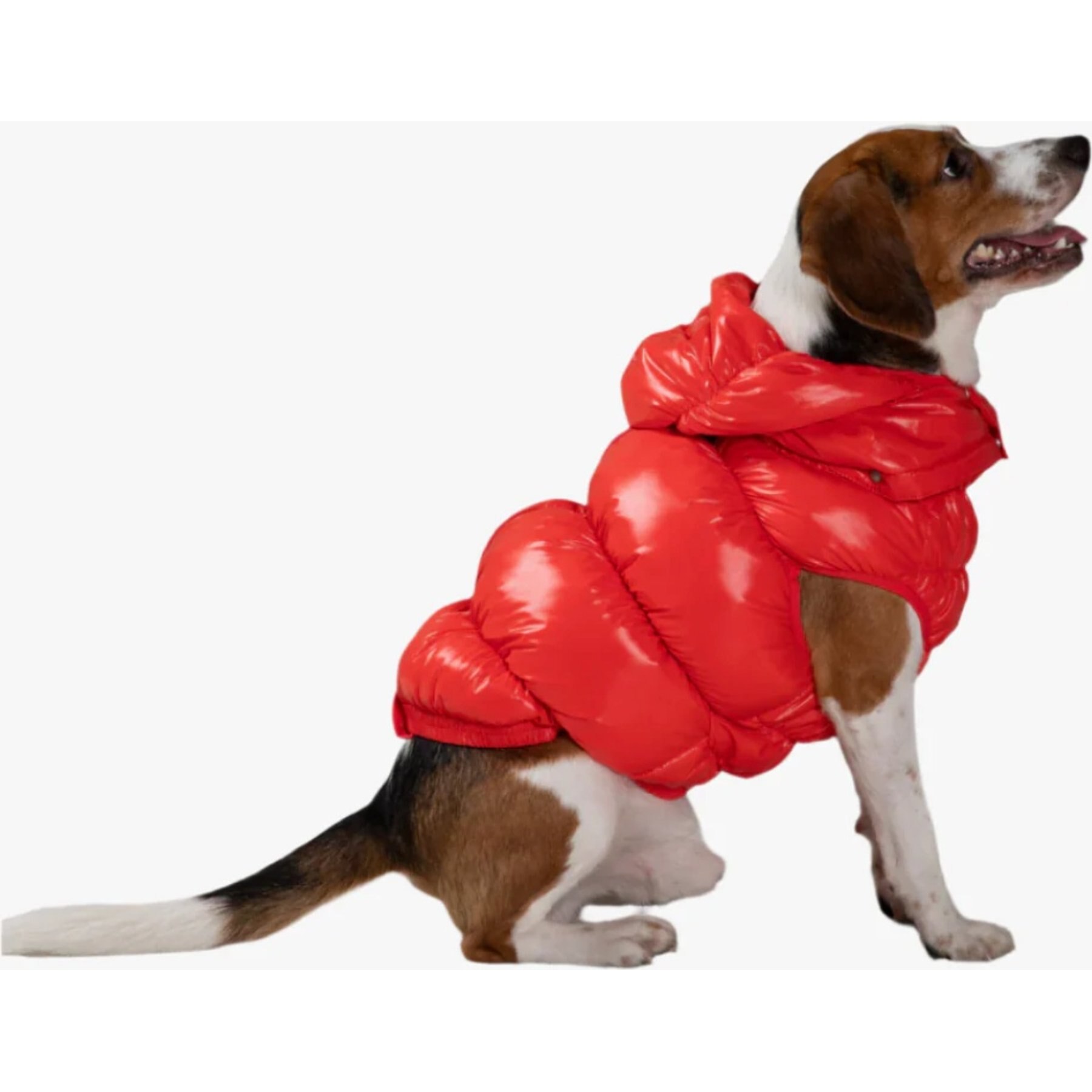 Pebot Dog & Cat Puffer Coat, Red, 12