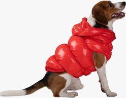 Pebot Dog & Cat Puffer Coat, Red, 14