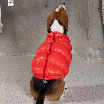 PEBOT Dog & Cat Puffer Coat, Red, 16 - Chewy.com