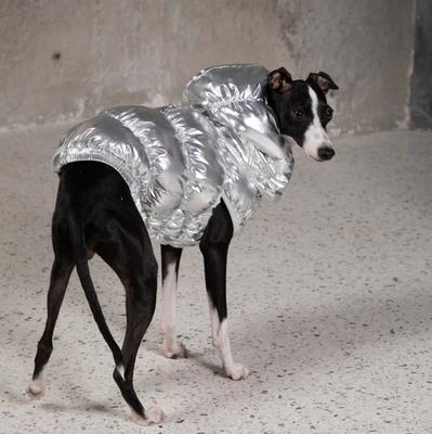 Show full view: Pebot Dog & Cat Puffer Coat, Silver, 10 slide 3 of 3
