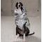 Show in main carousel: Pebot Dog & Cat Puffer Coat, Silver, 10 slide 2 of 3