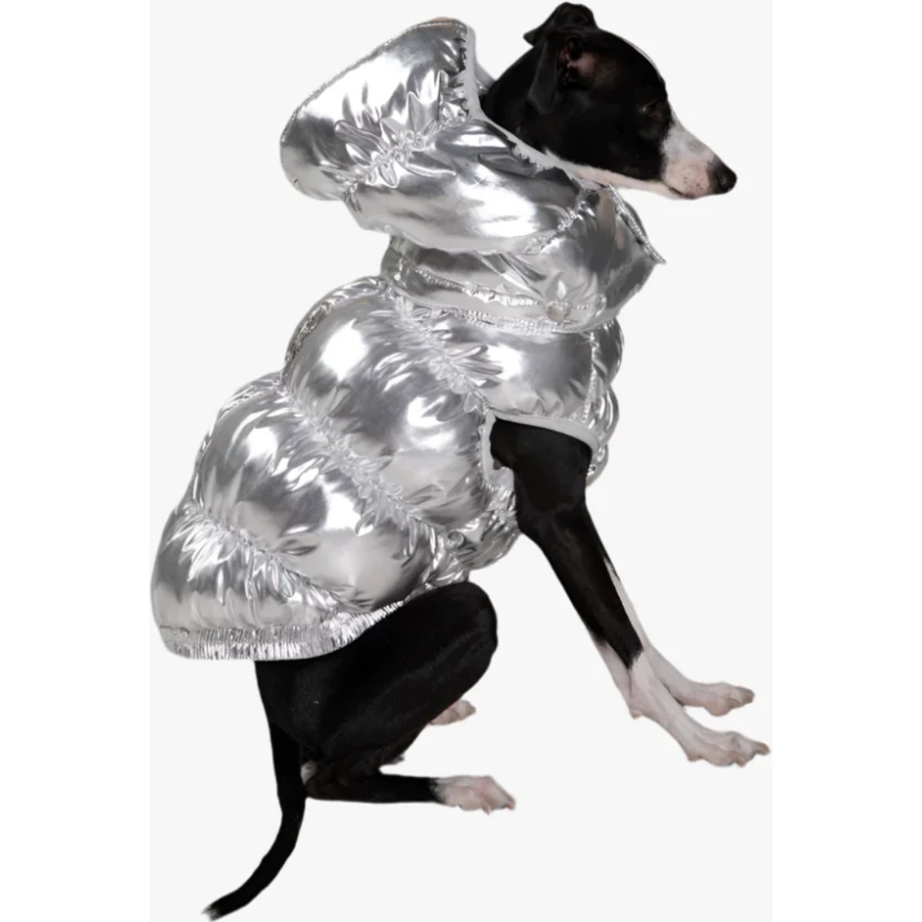 Pebot Dog & Cat Puffer Coat, Silver, 12