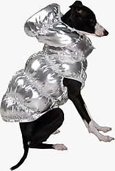 Pebot Dog & Cat Puffer Coat, Silver, 14
