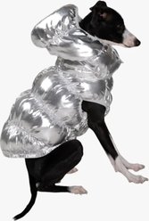 Pebot Dog & Cat Puffer Coat, Silver, 16