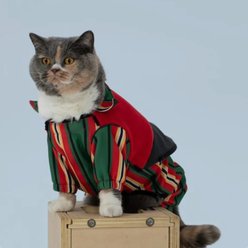 Pebot Falcon 2 Dog & Cat Harness Onesie, Neon Red/Stripe, 18 slide 2 of 4