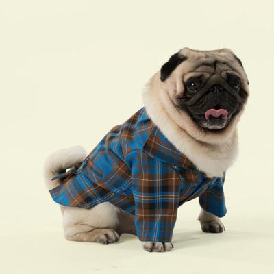 Show full view: Pebot King Dog & Cat Blazer & Beret, Blue Check, 10 slide 3 of 4