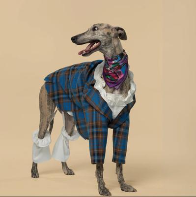 Show full view: Pebot King Dog & Cat Blazer & Beret, Blue Check, 24 slide 4 of 4