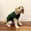 Show in main carousel: Pebot Moss Dog & Cat Sweater, Forest Green, 14 slide 3 of 3