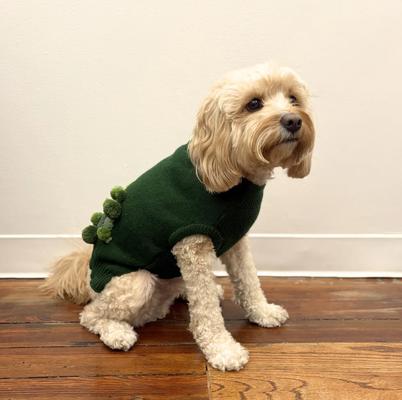 Show full view: Pebot Moss Dog & Cat Sweater, Forest Green, 16 slide 4 of 4