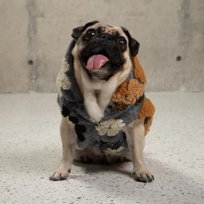 Show full view: Pebot Poppy Reversible Dog & Cat Vest, Black Floral, 22 slide 2 of 6