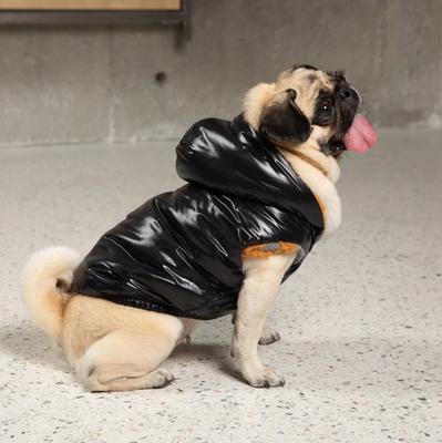 Show full view: Pebot Poppy Reversible Dog & Cat Vest, Black Floral, 22 slide 4 of 6