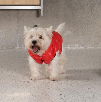 Show full view: Pebot Poppy Reversible Dog & Cat Vest, Red Floral, 8 slide 6 of 8