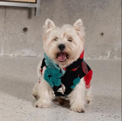 Show full view: Pebot Poppy Reversible Dog & Cat Vest, Red Floral, 8 slide 3 of 8