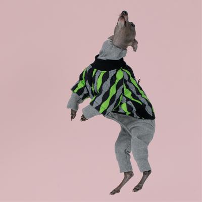 Show full view: Pebot Ranger 2 Dog & Cat Jacket, Ripple: Green/Black, 16 slide 3 of 3