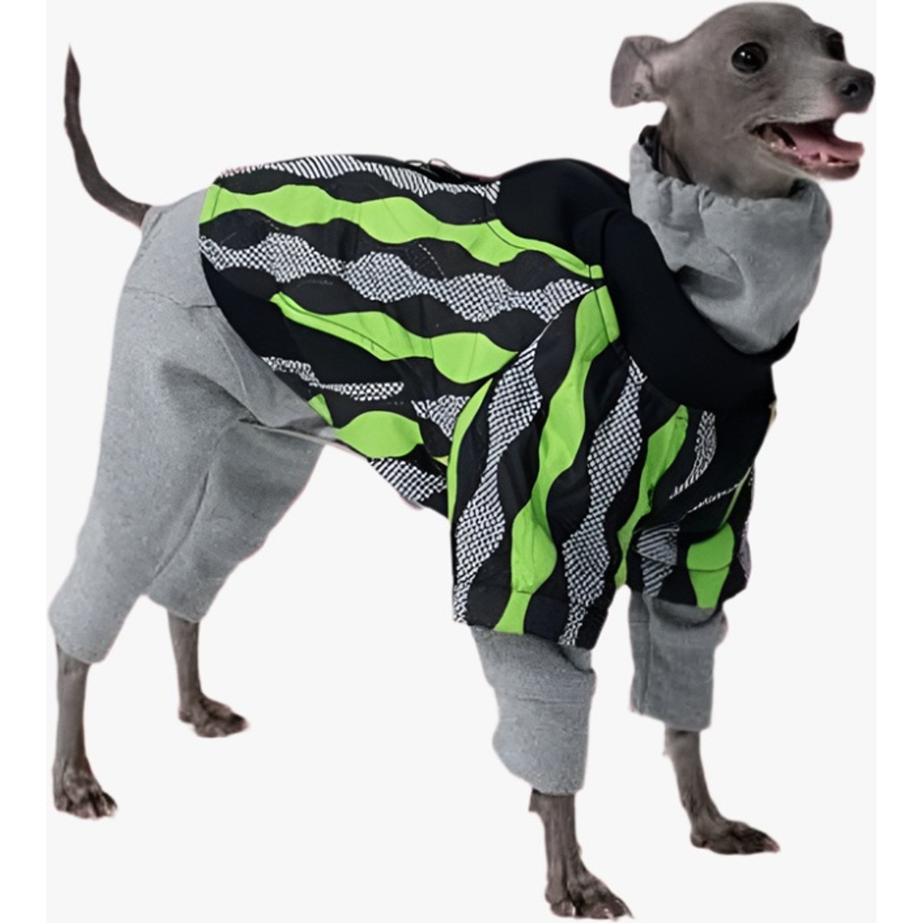 Pebot Ranger 2 Dog & Cat Jacket, Ripple: Green/Black, 20