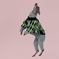 Pebot Ranger 2 Dog & Cat Jacket, Ripple: Green/Black, 22 slide 2 of 3