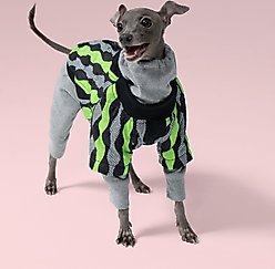 Pebot Ranger 2 Dog & Cat Jacket, Ripple: Green/Black, 24 slide 2 of 3