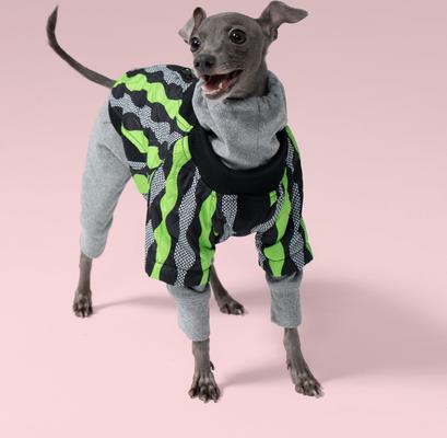 Show full view: Pebot Ranger 2 Dog & Cat Jacket, Ripple: Green/Black, 24 slide 2 of 3