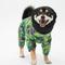 Show in main carousel: Pebot Rey Dog & Cat Rainsuit, Cyber Green, 12 slide 1 of 4