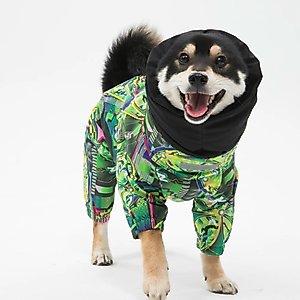 Pebot Rey Dog & Cat Rainsuit, Cyber Green, 18