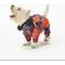 Show in main carousel: Pebot Rey Dog & Cat Rainsuit, Cyber Red, 12 slide 3 of 4