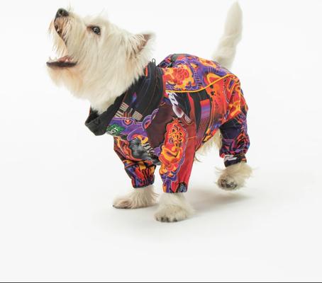 Show full view: Pebot Rey Dog & Cat Rainsuit, Cyber Red, 12 slide 3 of 4