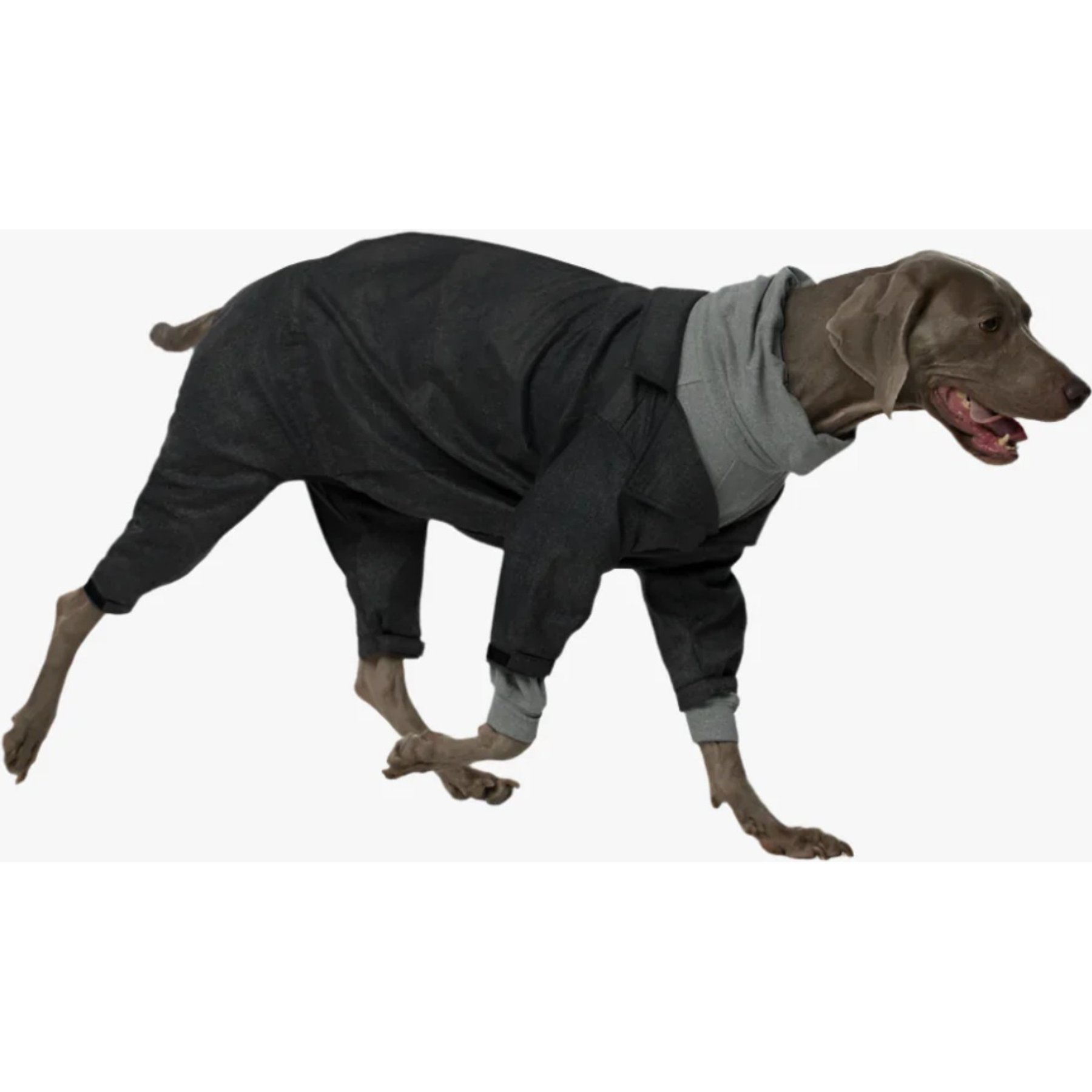 Pebot Royal Dog & Cat Jumpsuit, Dark Grey Herringbone, 14
