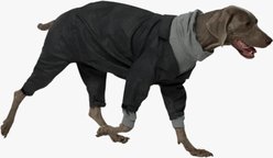 Pebot Royal Dog & Cat Jumpsuit, Dark Grey Herringbone, 16