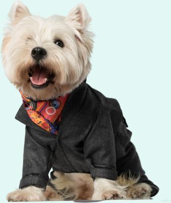 Show full view: Pebot Royal Dog & Cat Jumpsuit, Dark Grey Herringbone, 18 slide 2 of 4