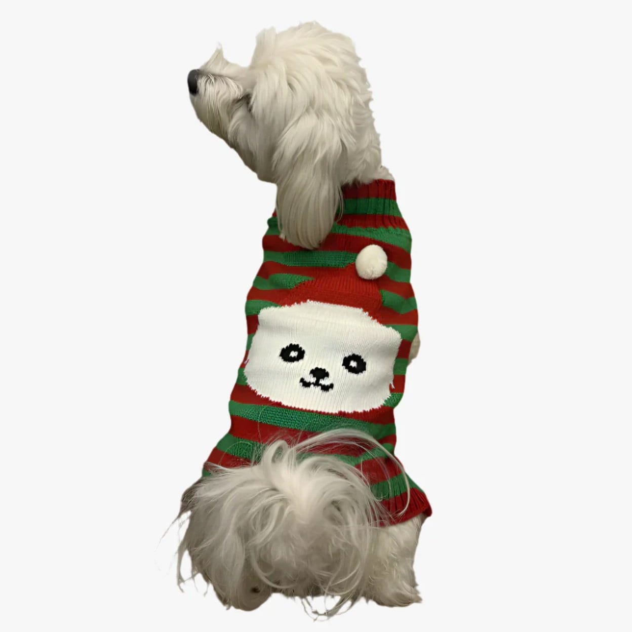 Pebot Christmas Sebby Holiday Dog & Cat Sweater, Red / Green Stripe, X-small