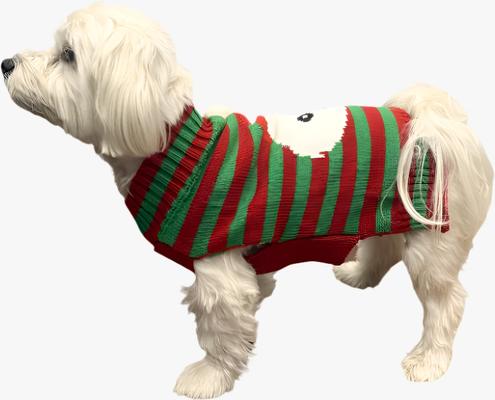 Show full view: Pebot Christmas Sebby Holiday Dog & Cat Sweater, Red / Green Stripe, Medium slide 4 of 5