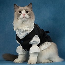 Pebot Ten Dog & Cat Waistcoat, Black, 18 slide 2 of 3