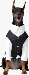 Pebot Ten Dog & Cat Waistcoat, Black, 20