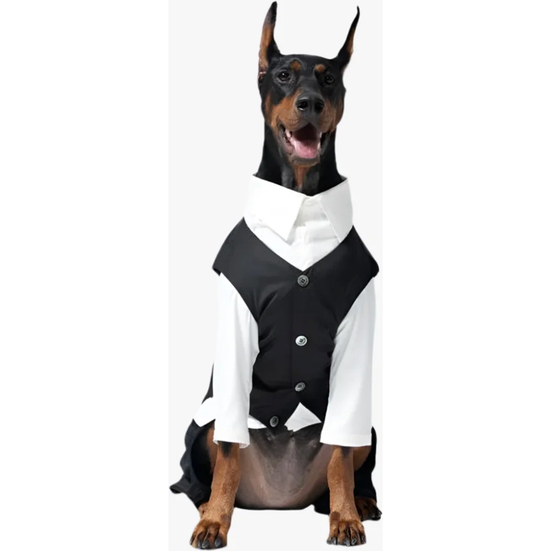 Pebot Ten Dog & Cat Waistcoat, Black, 22